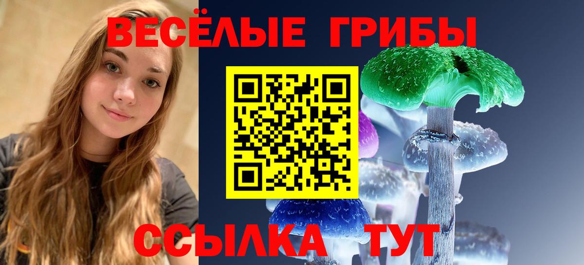 купить наркоту  Вход с VPN  Новоалтайск  Галлюциногенные грибы мицелий 